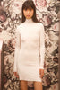 Ribbed Turtleneck
